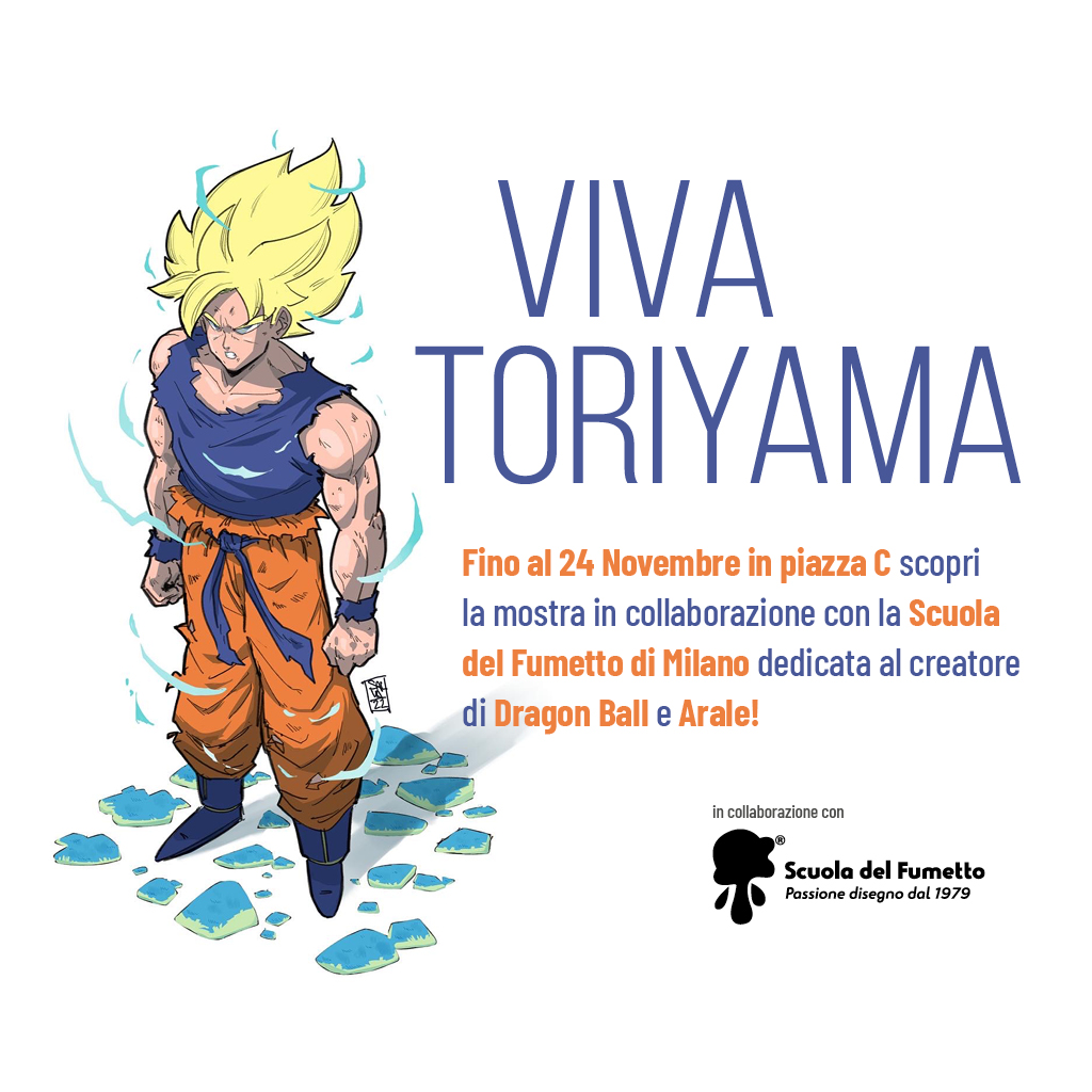 Mostra Akyra Toryama